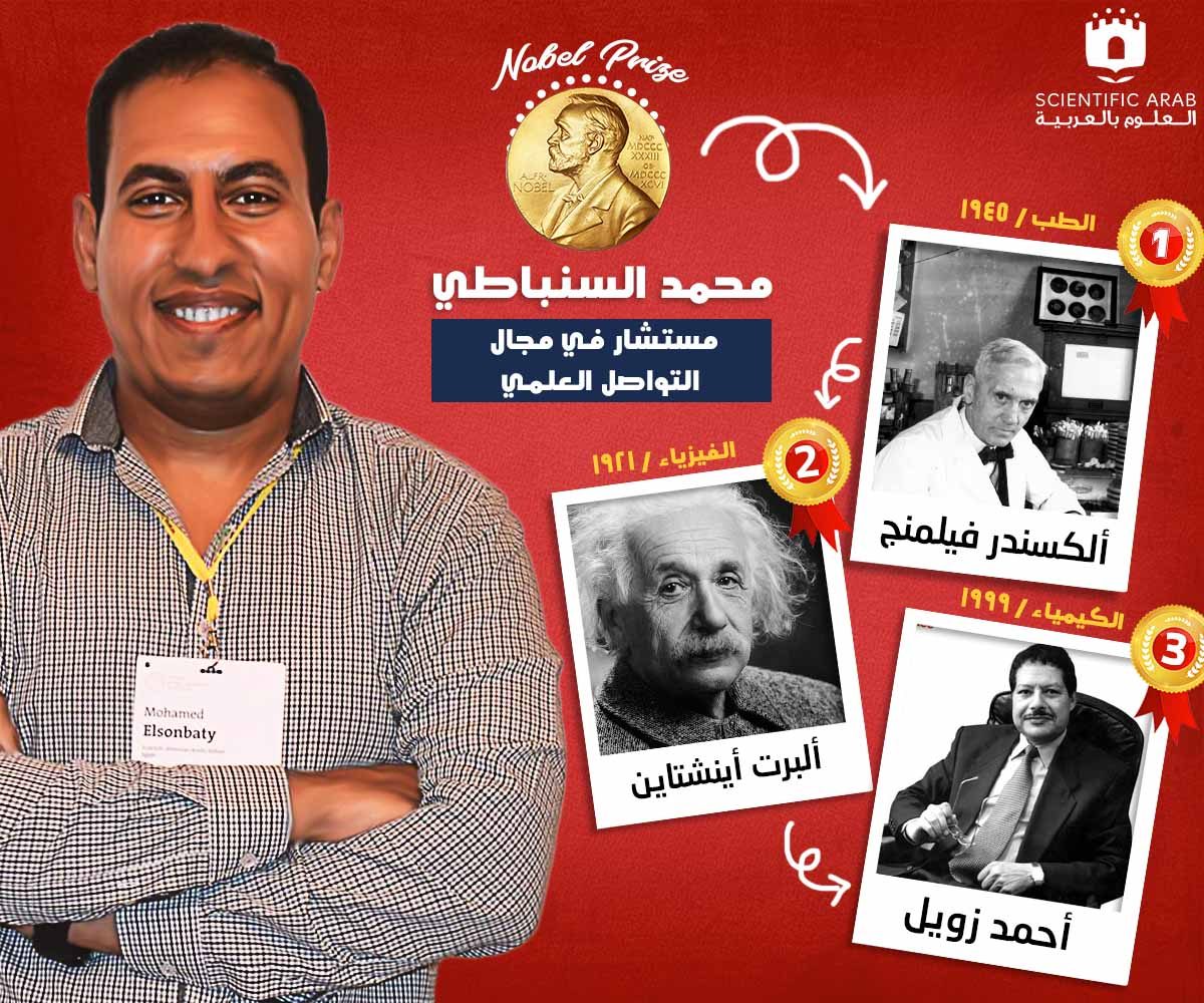 محمد السنباطي, جائزة نوبل