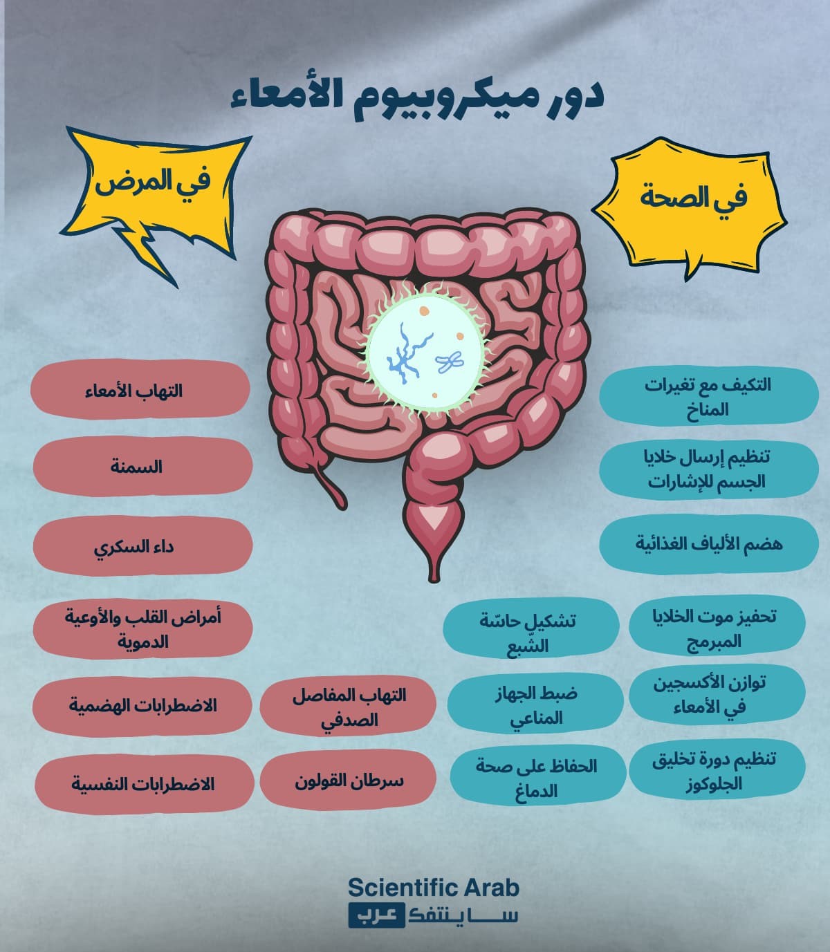 دور الميكروبيوم في الصحة والمرض - الميكروبيوم الصحي طريقك للتكيف المناخي | ساينتفك عرب 